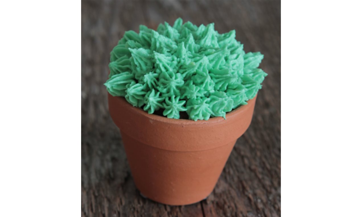 Picture - Stap-4 Cactus cupcake bovenzijde met kleine groene toefjes.png